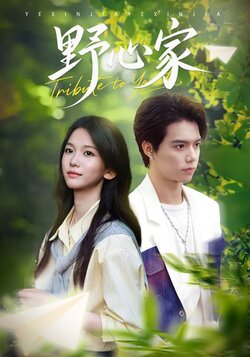 野心家_枫叶短剧聚合网