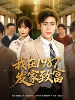 我在1987发家致富_枫叶短剧聚合网