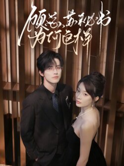 顾总，苏秘书为何这样_枫叶短剧聚合网