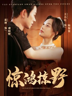 惊鸿掠野_枫叶短剧聚合网