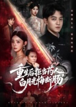 重生后拒当药人白月光悔断肠_枫叶短剧聚合网