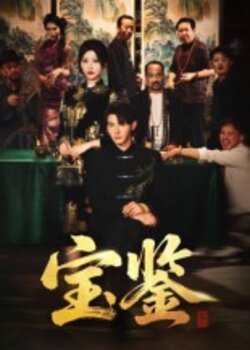 宝鉴_枫叶短剧聚合网