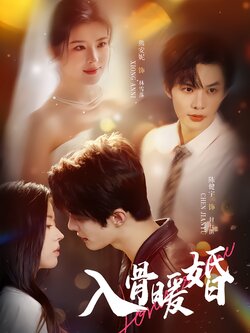 入骨暖婚_枫叶短剧聚合网