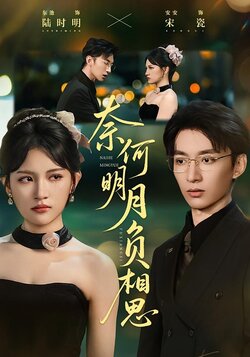奈何明月负相思_枫叶短剧聚合网