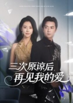 三次原谅后再见我的爱_枫叶短剧聚合网