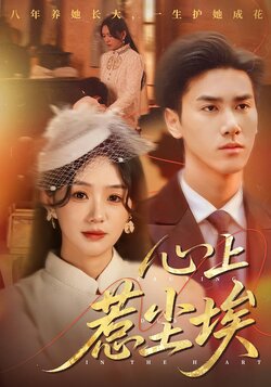 心上惹尘埃_枫叶短剧聚合网