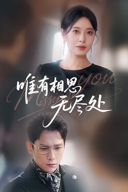 唯有相思无尽处_枫叶短剧聚合网