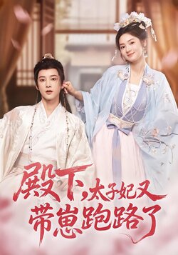 殿下，太子妃又带崽跑路了_枫叶短剧聚合网