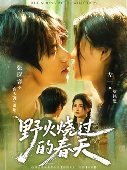 野火烧过的春天_枫叶短剧聚合网