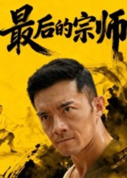 最后的宗师_枫叶短剧聚合网