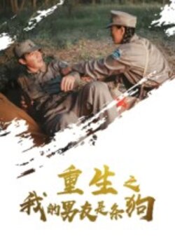 重生之我的男友是条狗_枫叶短剧聚合网