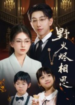 野火烬相思_枫叶短剧聚合网