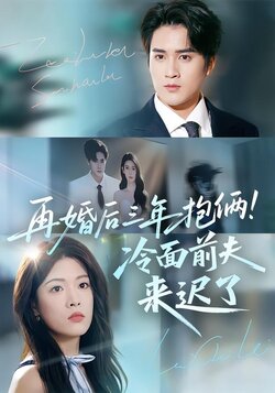再婚后三年抱俩！冷面前夫来迟了_枫叶短剧聚合网