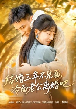 结婚三年不见面，冷面老公离婚吧_枫叶短剧聚合网