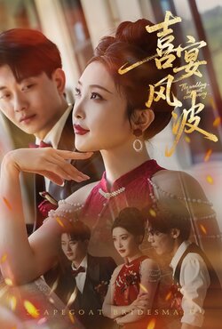 喜宴风波_枫叶短剧聚合网