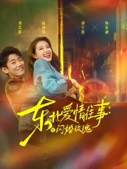 东北爱情往事：闪婚玫瑰_枫叶短剧聚合网