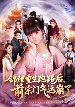 锦鲤重生跑路后，前宗门气运崩了_枫叶短剧聚合网