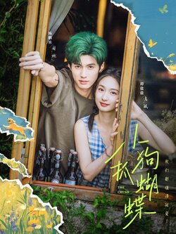 小狗抓蝴蝶_枫叶短剧聚合网