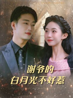 谢爷的白月光不好惹_枫叶短剧聚合网