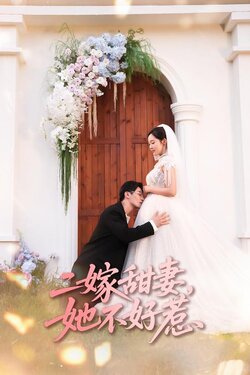 二嫁甜妻，她不好惹_枫叶短剧聚合网