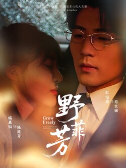 野芳菲_枫叶短剧聚合网