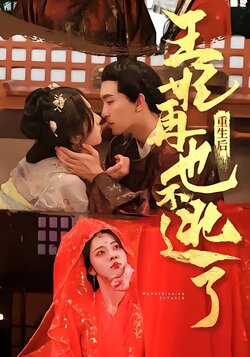 重生后王妃再也不逃了