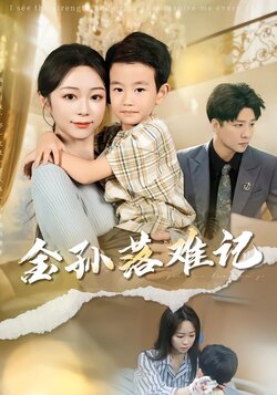 金孙落难记_枫叶短剧聚合网