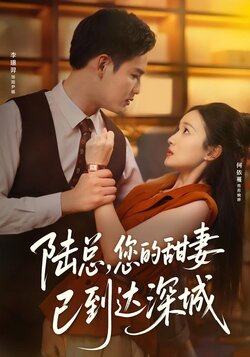 陆总,您的甜妻已到达深城_枫叶短剧聚合网
