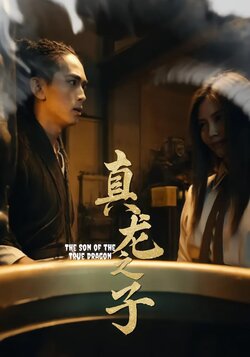 真龙之子_枫叶短剧聚合网