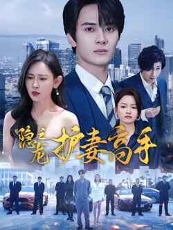 隐龙之护妻高手