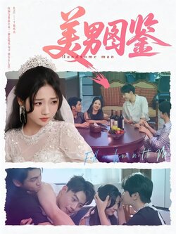 美男图鉴_枫叶短剧聚合网