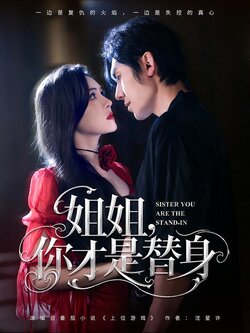 姐姐，你才是替身