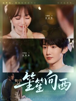 笙笙向西_枫叶短剧聚合网