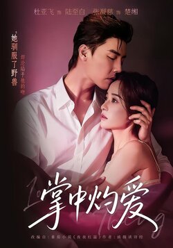 掌中灼爱_枫叶短剧聚合网