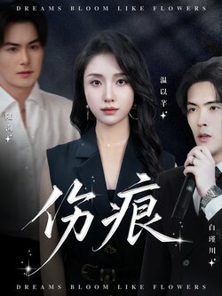 伤痕_枫叶短剧聚合网