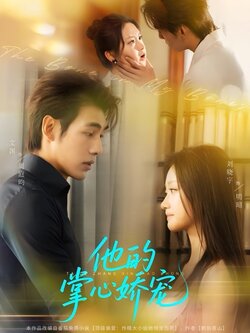 他的掌心娇宠_枫叶短剧聚合网