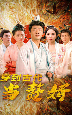 穿到古代当赘婿_枫叶短剧聚合网