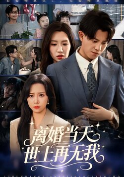 离婚当天，世上再无我_枫叶短剧聚合网