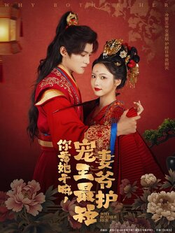 你惹她干嘛，宠妻王爷最护短_枫叶短剧聚合网