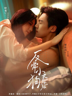 反骨小狗求贴贴_枫叶短剧聚合网