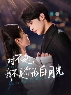 对不起，我不是你的白月光