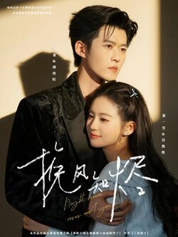挽风知烬_枫叶短剧聚合网