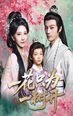 一花只为一树开_枫叶短剧聚合网