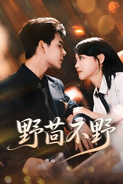 野茴不野_枫叶短剧聚合网