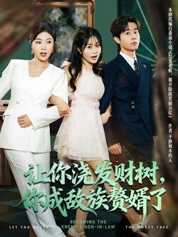 让你浇发财树，你成族敌赘婿了_枫叶短剧聚合网