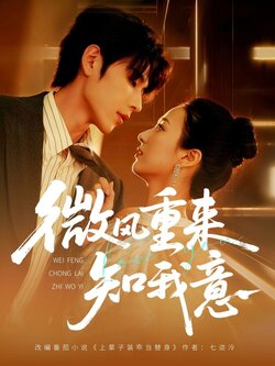 微风重来知我意_枫叶短剧聚合网