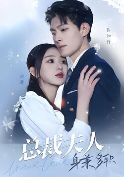 总裁夫人，身兼多职