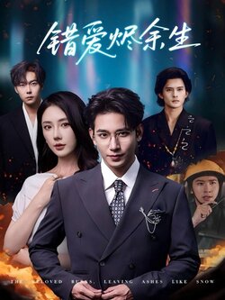 错爱烬余生_枫叶短剧聚合网