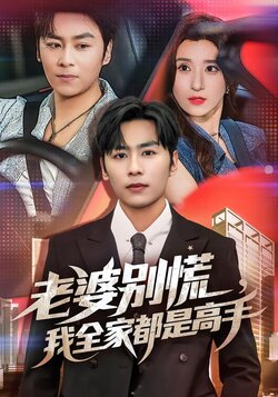 老婆别慌，我全家都是高手_枫叶短剧聚合网