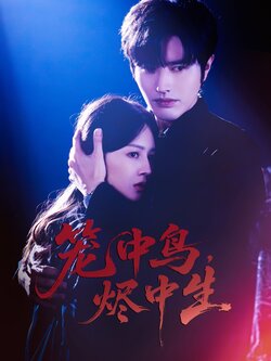 笼中鸟，烬中生_枫叶短剧聚合网